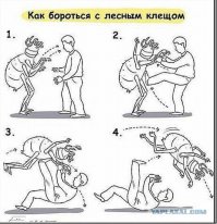 Сразу вспомнилось