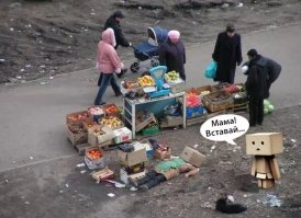 55 коротких советов для улучшения вашей жизни