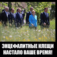 РОДИНА ВЕРИТ В ВАС, ТОВАРИЩИ ЭНЦЕФАЛИТЫ!!!
-