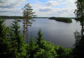 Смоленское Поозерье — национальный парк в европейской части России, в северо-западной части Смоленской области, в Духовщинском и Демидовском районах.

Национальный парк находится в ведении Министерства природных ресурсов и экологии Российской Федерации.

Содержание

    1 История
    2 Описание территории
        2.1 Природная зона
        2.2 Климат
        2.3 Водоёмы
        2.4 Почвы
    3 Биосфера
        3.1 Флора и растительность
        3.2 Фауна и животный мир
    4 Виды, включённые в Красную книгу Международного союза охраны природы[11]
        4.1 Земноводные
        4.2 Млекопитающие
        4.3 Птицы
    5 Виды, включённые в Красную книгу РФ[12]
        5.1 Костные рыбы
        5.2 Птицы
        5.3 Насекомые
        5.4 Моллюски
        5.5 Растения
    6 Научная деятельность
    7 См. также
    8 Примечания
    9 Литература
    10 Ссылки

История

Национальный парк «Смоленское Поозерье» был создан 15 апреля 1992 года [1]. Создание парка преследовало цели сохранения уникальных девственных широколиственно-тёмнохвойных лесов, изучения флоры и фауны региона, обеспечения использования возобновляемых природных ресурсов в природо-охранных и рекреационных целях[2]. По форме территория парка напоминает ромб с диагоналями 50 км с севера на юг и 55 км с запада на восток. Своим названием парк обязан большому количеству озёр.

В 1993 году был создан научно-технический совет парка.

В 1995 году парк принял активное участие в международной акции «Марш парков» и стал одним из его победителей.

В 1998 году парк принят в Федерацию природных и национальных парков Европы «Европарк» (англ.)русск..

В 2002 году национальный парк принят в число биосферных резерватов программы ЮНЕСКО «Человек и биосфера»[3][4].

До 2000 года администрация национального парка находилась в посёлке Подосинки. К новому тысячелетию «столицей» национального парка стал посёлок Пржевальское.

Сейчас национальный парк предлагает целый ряд туристических маршрутов в окрестностях посёлка Пржевальское[5], проводит культурные мероприятия (Марш парков, фестивали бардовской песни и др.), а также участвует в экологическом просвещении школьников. Деятельность парка во многом увеличивает интерес туристов к этому краю. На юго-западном берегу озера Сапшо находятся смотровая площадка и стоянки туристов. Там часто размещаются детские и юношеские лагери.

На территории парка находится 77 археологических памятников. Среди них — детинец древнерусского города Вержавск, стоянки каменного века, поселения, городища, селища, могильники. Археологический комплекс древнерусского города Вержавск и курганный могильник (31 насыпь) VIII – XIII веков близ деревни Аносинки имеют статус памятников федерального значения[6]. Имеется 93 памятника истории: мемориальные комплексы, мемориальные места (включая сохранившиеся военные укрепления, места сражений, захоронения, связанные с событиями Великой Отечественной войны), памятники архитектуры[7]. Открыты музеи: дом-музей путешественника Н. М. Пржевальского и Музей партизанской славы (в посёлке Пржевальское), частный музей берёсты в деревне Аносинки, частный музей-вернисаж «Наедине с деревом» в деревне Боровики. Действуют две церкви — в посёлке Пржевальское (1782 года постройки) и в деревне Бакланово. Сохранилось несколько полуразрушенных храмов, 4 святых источника с купальнями. От крестьянско-фермерского хозяйства в деревне Шугайлово до деревни Сокорево, где находится святой источник Параскевы Пятницы, проходит экологическая тропа «Преданья старины глубокой», ключевым стержнем которой стала история и художественная реконструкция ряда объектов — сторожевых башен, капища с деревянным идолом на территории древнего городища[8
