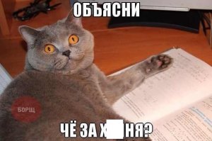 Занятное чтиво в метро у дамочки