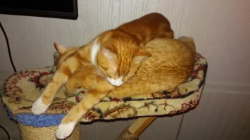 самые дорогие это свои)))