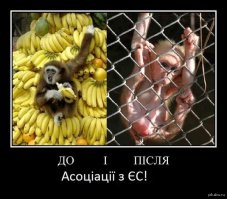 ДОСКАКАЛИСЬ: 