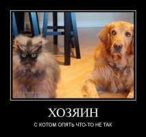 Фотоподборка за 08.06.2015