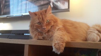 Мой :) и для нас Он без ценный ;)