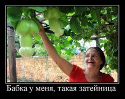 16 картинок, которые расскажут, насколько вы испорчены