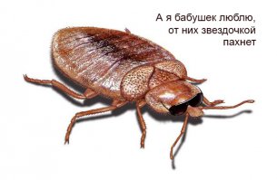 Занятное чтиво в метро у дамочки