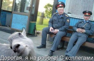 Подборка демотиваторов 
