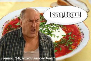 Весёлые  фото с  животными
