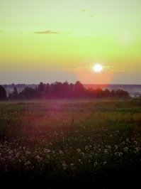 Немного не по теме, но тоже Россия. Вологодская область.