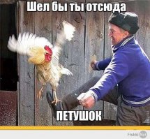 Пришел и всех помирил