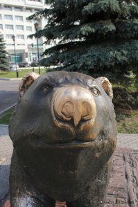 Медведь в Перми:
