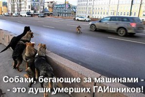 может баян , но я только сегодня увидел и чуть со стула не упал
