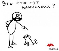 Вот за что, спрашивается?!