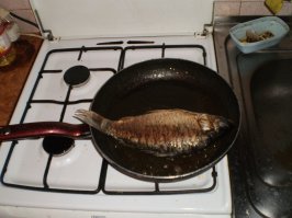 Рыбалка удалась!!