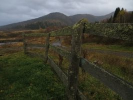 Обои на рабочий стол