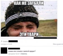 Смешные комментарии из социальных сетей 09.06.15
