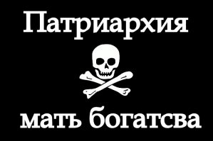 Экологи о даче патриарха