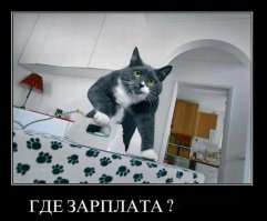 Приходишь домой, а там :)
