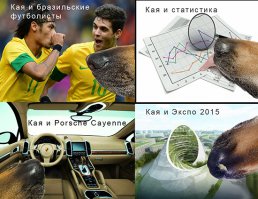 Кража еды как искусство 