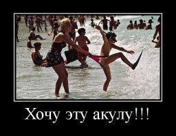  Жак Ив Кусто