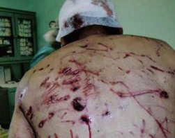 мой товарищ взломал сервер за две минуты ! он наверное хакер ? да нет он долба..б.
так вот и мужик и вся толпа они "хакеры".
миша одним коготком легко убьет/покалечит человека, бегает он значительно лучше чем многие из нас.
лично приходилось общаться с человеком который смог убежать от мишки, но миша оставил свой след на его жопе....
надо быть совсем без мозгов, что выйти из машины. это маленький мишка, но ведь из за вашей машины может и его мама выйти ? это называется ловить на живца. Живец милый маленький мишка, а потом они запасуться мясом на все лето ! для них мы всего лишь кусок мяса ! добыча и не более