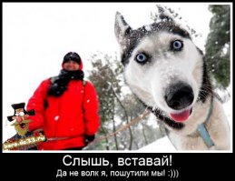 Небольшой забавный боянчик )):