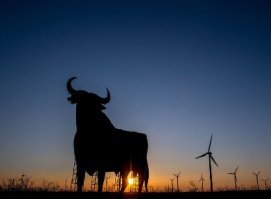 Какя вибрация ? Вон у бычары даж яйцы не качаются !