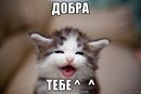Автор это тебе