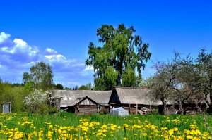 вот так например выглядит дом у моей бабушке в брянской области