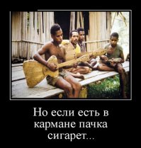 Такое возможно только в Африке