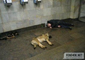 а у этого парня такая  хаски