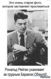 Истории о спасенных животных