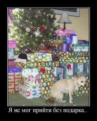 Всех с Днем России! 