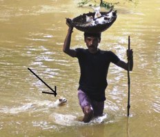 Котенков спас, а мать всегда с детьми...