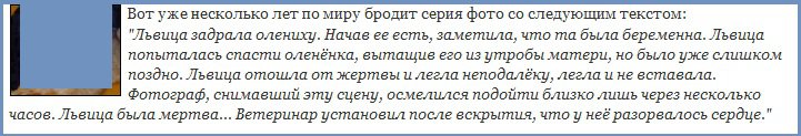 а как же тигрица/львица, убившая беременную антилопу и умершая от разрыва сердца?
.