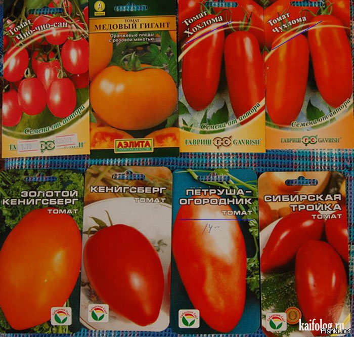 Купить семена томата огородник