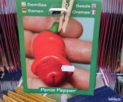 Семена от автора или весёлые названия растений