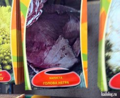 Семена от автора или весёлые названия растений