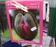 Семена от автора или весёлые названия растений