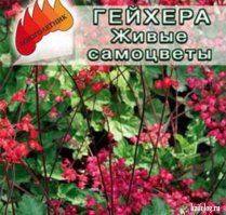 Семена от автора или весёлые названия растений