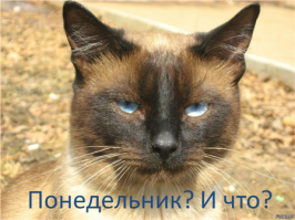 10 самых интересных фактов о понедельниках