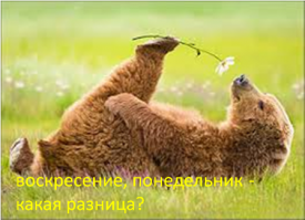 10 самых интересных фактов о понедельниках