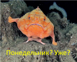 10 самых интересных фактов о понедельниках