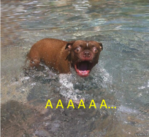 И такое случается