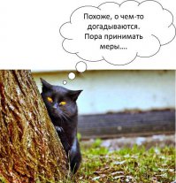 15 доказательств, что ваш кот является агентом ГРУ