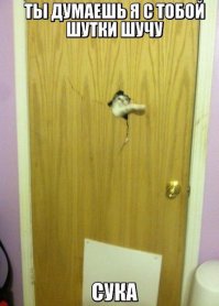 да, коты они такие непредсказуемые =))