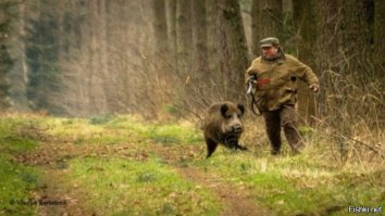 Анекдот вспомнился:
Мужик рассказывает другу:
- Пошел я раз на охоту на медведя и взял Шарика, с собой. Иду, вижу берлога. Я ружье наперевес и потихоньку в берлогу. Спускаюсь и вдруг ложатся мне сзади на плечи лапы. Я вижу что это Шарик, понимаю что это Шарик, а срать остановиться не могу.