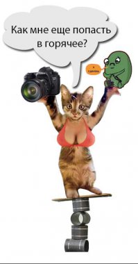 Наказанный лихач