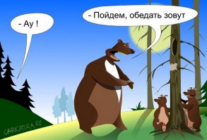 10 фактов, которые вам нужно знать о медведях